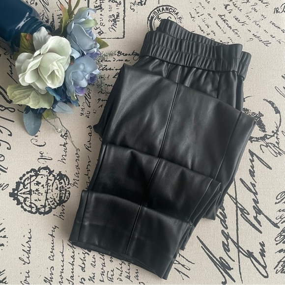 Ann Taylor Faux Leather Pull On Cinch Waist High Rise Ankle Pant - Picture 5 of 9